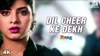 Dil Cheer Ke Dekh Lyrics