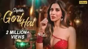 Gori Hai Song Lyrics